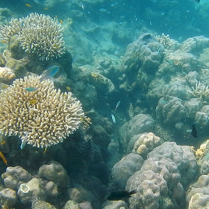 Unforgettable 5 Night 6 Days Andaman Package: Beaches, Adventure & Family Fun