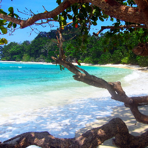 Unforgettable 5 Night 6 Days Andaman Package: Beaches, Adventure & Family Fun