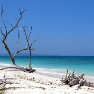 Unforgettable 5 Night 6 Days Andaman Package: Beaches, Adventure & Family Fun
