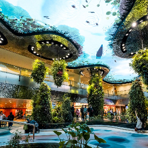Unforgettable Singapore Family Tour Package for 6 Days