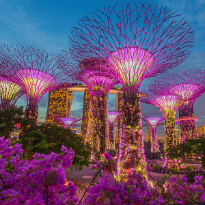 Unforgettable Singapore Family Tour Package for 6 Days