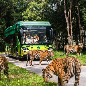 Vietnam Family Tour Package: 7 Days in Phu Quoc