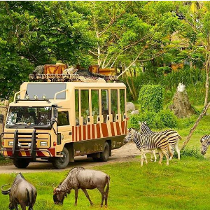 Vietnam Family Tour Package: 7 Days in Phu Quoc