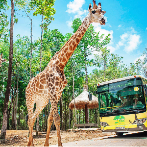 Vietnam Honeymoon Tour: A 10-Day Romantic Getaway