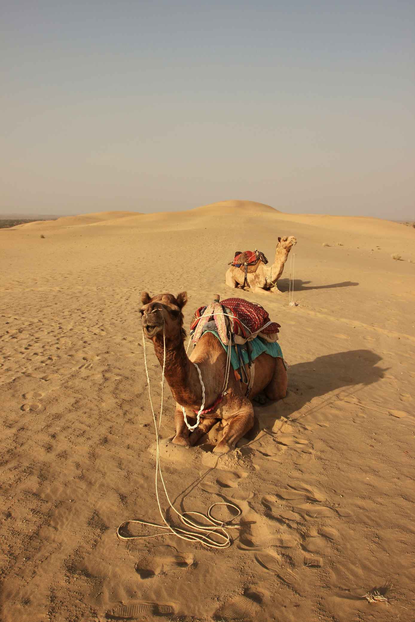 Rajasthan Desert