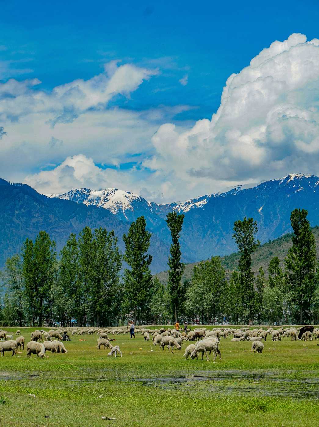 Kashmir Valley