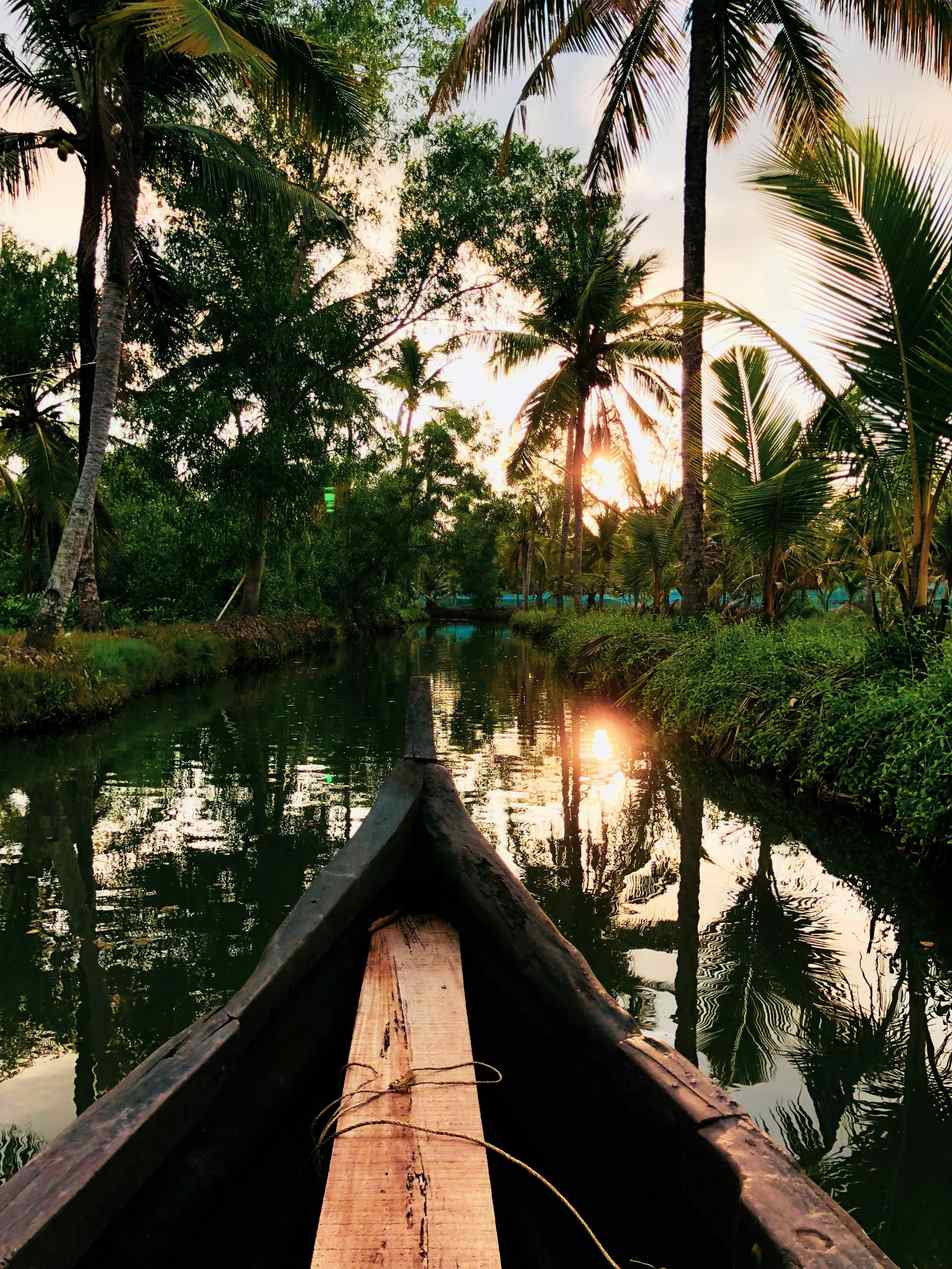 Kerala backwaters