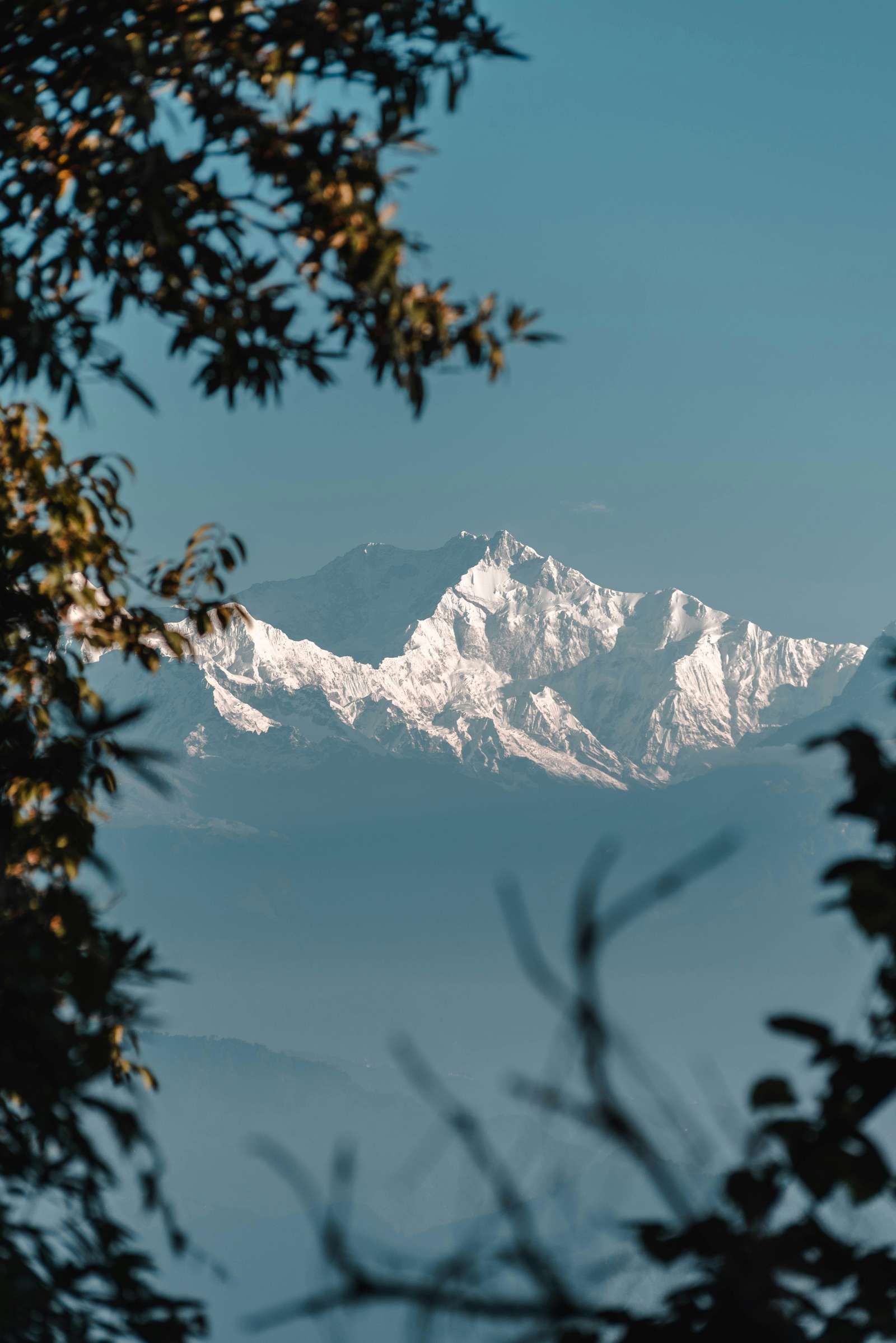 Darjeeling Hills