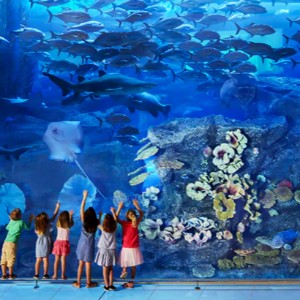 10-Day Dubai Holidays For Families