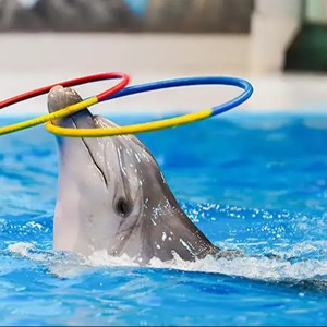 10-Day Dubai Holidays For Families