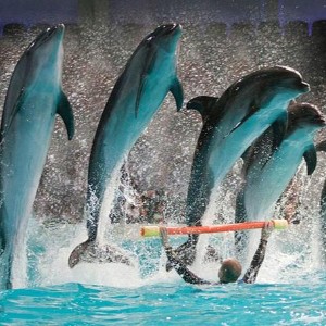 10-Day Dubai Holidays For Families