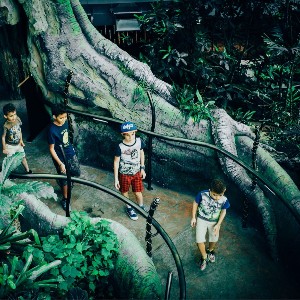 10-Day Dubai Holidays For Families