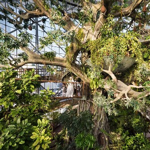 10-Day Dubai Holidays For Families