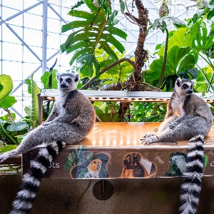 10-Day Dubai Holidays For Families