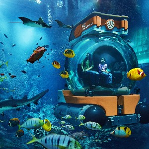 10-Day Dubai Holidays For Families