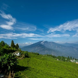10 Days Darjeeling, Gangtok & Pelling Tour Itinerary