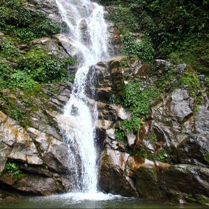 10 Days Darjeeling, Gangtok & Pelling Tour Itinerary