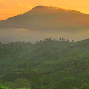 10 Days Darjeeling, Gangtok & Pelling Tour Itinerary