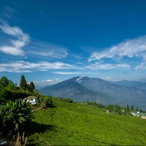12 Days Darjeeling, Gangtok, North Sikkim & Pelling Tour Itinerary