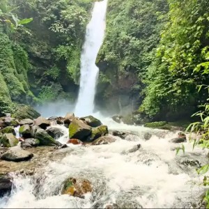 12 Days Darjeeling, Gangtok, North Sikkim & Pelling Tour Itinerary