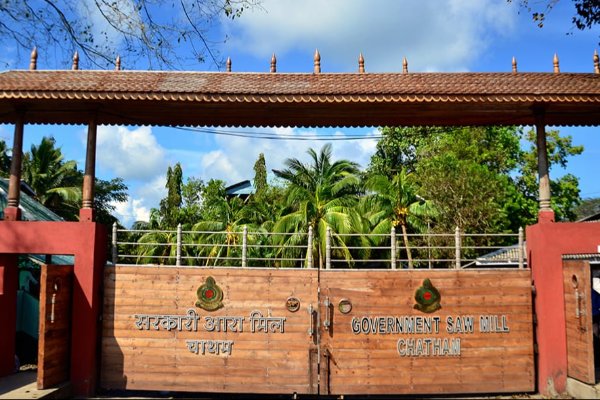 5 Days Romantic Andaman Package for Couple — photo 3