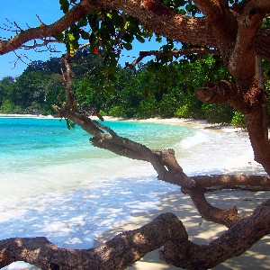 5 Days Romantic Andaman Package for Couple