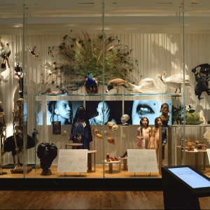 5 Days Romantic Andaman Package for Couple