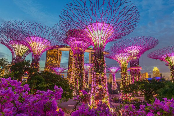 5 Days Singapore Honeymoon Package — photo 3