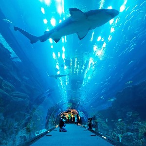 6 Day Dubai Family Package Itinerary