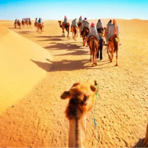 6 Days Romantic Escape: Dubai Tour Package for Couple