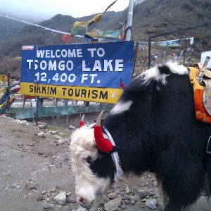 7-Day Classic Hills Panorama: Sunrise Peaks, Monasteries & Tea Estates