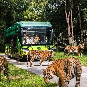 7 Days Phu Quoc Tour Package