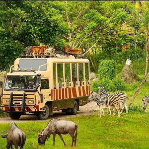 7 Days Phuc Quoc Tour Package