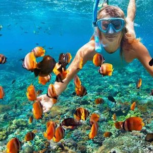 7 Days Phuc Quoc Tour Package