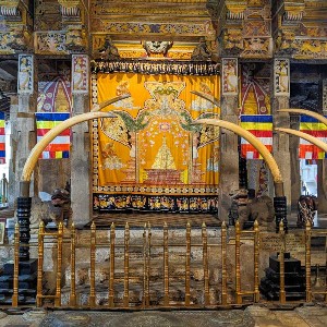 7 Days Sri Lanka Honeymoon Itinerary: Explore Sri Lanka Together