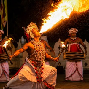 7 Days Sri Lanka Honeymoon Itinerary: Explore Sri Lanka Together