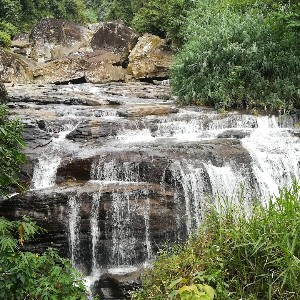 7 Days Sri Lanka Honeymoon Itinerary: Explore Sri Lanka Together