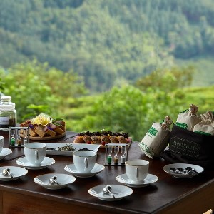 7 Days Sri Lanka Honeymoon Itinerary: Explore Sri Lanka Together