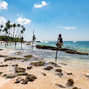 7 Days Sri Lanka Honeymoon Itinerary: Explore Sri Lanka Together