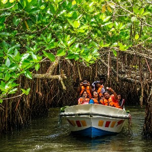 7 Days Sri Lanka Honeymoon Itinerary: Explore Sri Lanka Together
