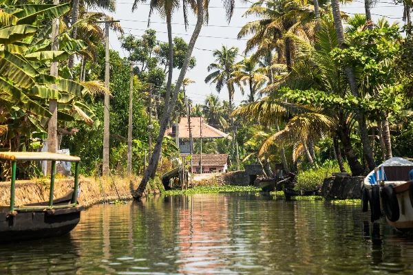 7 Nights 8 Days Kerala Itinerary: Perfect Romantic Escape for Honeymooners — photo 1