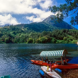 7 Nights 8 Days Kerala Itinerary: Perfect Romantic Escape for Honeymooners