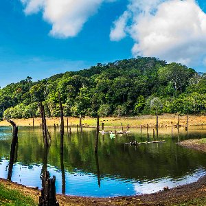 7 Nights 8 Days Kerala Itinerary: Perfect Romantic Escape for Honeymooners