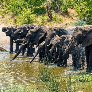 7 Nights 8 Days Kerala Itinerary: Perfect Romantic Escape for Honeymooners