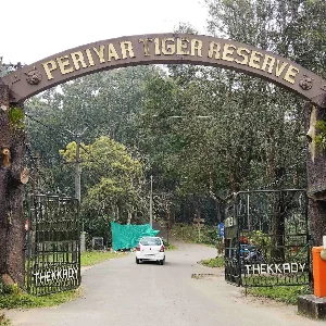 7 Nights 8 Days Kerala Itinerary: Perfect Romantic Escape for Honeymooners