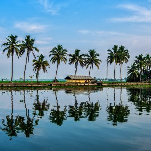 7 Nights 8 Days Kerala Itinerary: Perfect Romantic Escape for Honeymooners