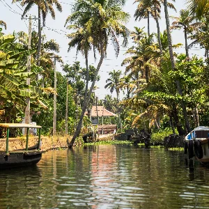 7 Nights 8 Days Kerala Itinerary: Perfect Romantic Escape for Honeymooners