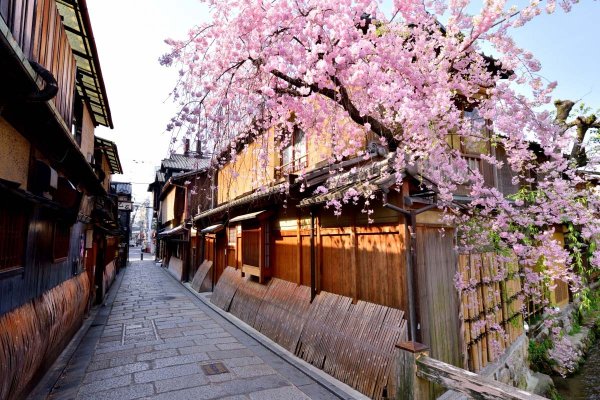 9- Day Japan Trip Itinerary: Tokyo, Kyoto & Osaka — photo 4