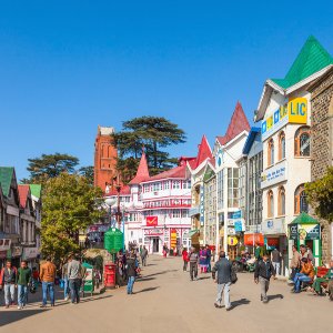 A Perfect Family Getaway: Shimla Manali Trip