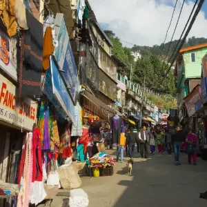 A Perfect Family Getaway: Shimla Manali Trip